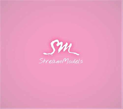 Stream Models
