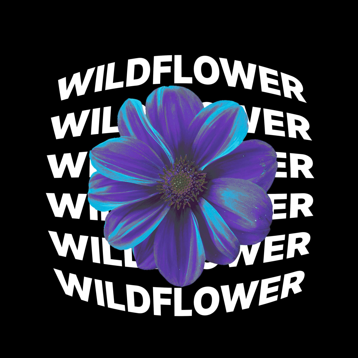 WILDFLOWER