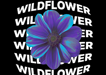WILDFLOWER